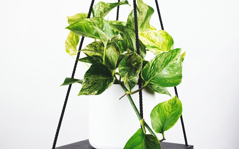 足球战术分析板上的传球网络与球员位置示意图