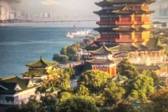 罗尼·巴尔德吉：足球巨星逆境突破与球迷深情回馈